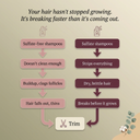 Why your hair won't grow / problem
