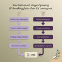 problem - dualis purple