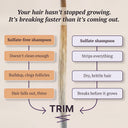 Your hair hasn't stopped growing / TRIM